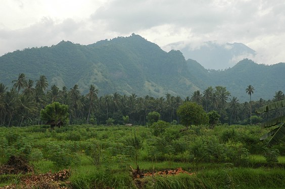 Landschaft bei Sengkidu - im Hintergrund der Gunung Agung