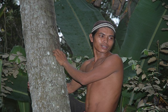 Dieser Junge Mann besteigt gerade eine Palme, um den süßen Saft zur Tuakherstellung zu ernten