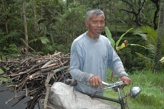 nyipil - ipil sagt man auf Bali, wenn man Feuerholz sammelt